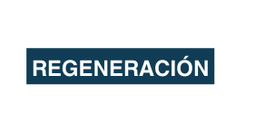 REGENERACIÓN